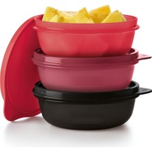 Tupperware Saklama ve Servis Kabı 3'lü Set 300 ml