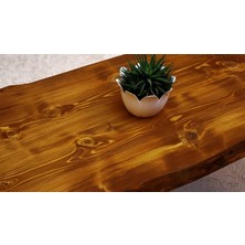 Entema Doğal Ağaç Masif Kütük Orta Sehpa 60 x 150 cm Metal Ayak