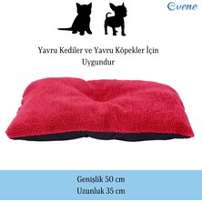 Evene Kedi Yatağı Evcil Hayvan Kedi Minderi 50X35 cm Evcil Hayvan Minder