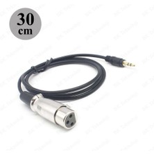 BK Teknoloji 3pin Xlr Dişi - 3.5mm Erkek 30 cm Mikrofon Kablosu