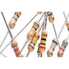 1.2 R (Ohm) Direnç 1 Wat