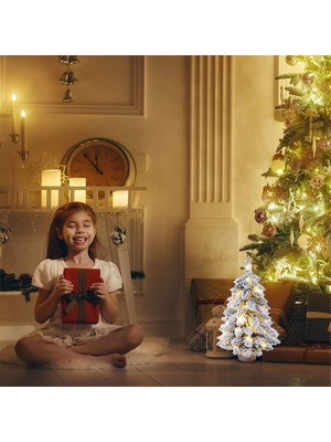 Hainan Shenda LED Işıklı Yapay Mini Noel Ağacı Seti 60 cm. - Yeşil (Yurt Dışından)