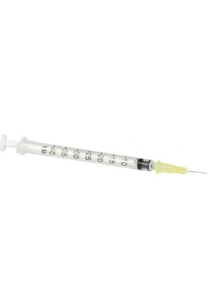 bd needle with syringe