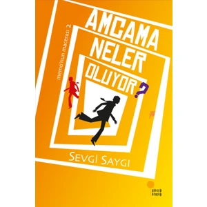 Amcama Neler Oluyor? - Sevgi Saygı