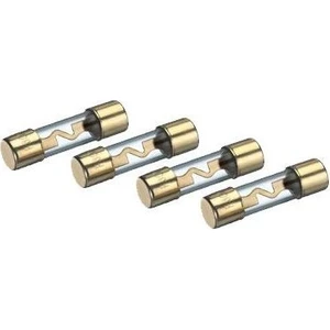 Sigorta -Cam- 60A (4'lü)
