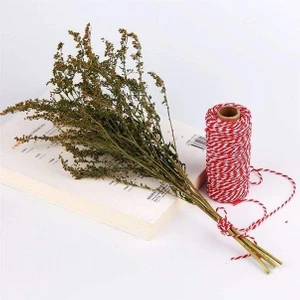 Roco Paper Co. Hediye Paketleme ve Ambalaj İpi, Marteniçka, DIY, Paket İpi, 200 Metre (Twine Baker), Kırmızı-Beyaz