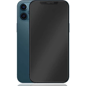 Apple iPhone 11  Nano Mat Ekran Koruyucu