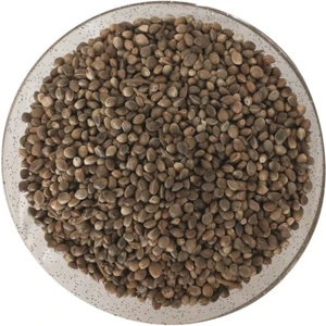 Kenevi. Kendir Tohumu 1 kg