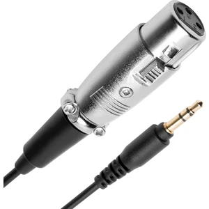 BK Teknoloji 3pin Xlr Dişi - 3.5mm Erkek 30 cm Mikrofon Kablosu