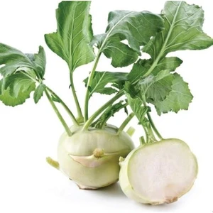 Karahasanoğlu Tarım Yerli Ata Tohumu Beyaz Alabaş 25 Adet