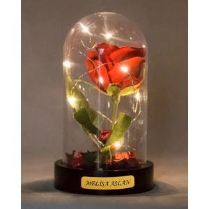 Home Dekor Hediye Dekoratif Sevgiliye Hediye Kişiye Özel Sevgiliye Hediye LED Işıklı Fanus  Kırmızı Solmayan Gül