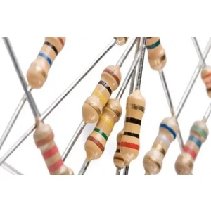 1.2 R (Ohm) Direnç 1 Wat