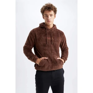 Regular Fit Kapüşonlu Baskılı Pelüş Sweatshirt Y5556AZ22WN