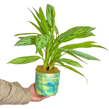 floor plant stands indoor Modern Metal Floor Flower Stands Stand with Planter Set of-2 (White)