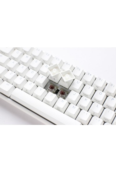 Ducky One 3 Mını Mekanik Brown Swich Q Tr White Keycaps Rgb LED Gaming Klavye