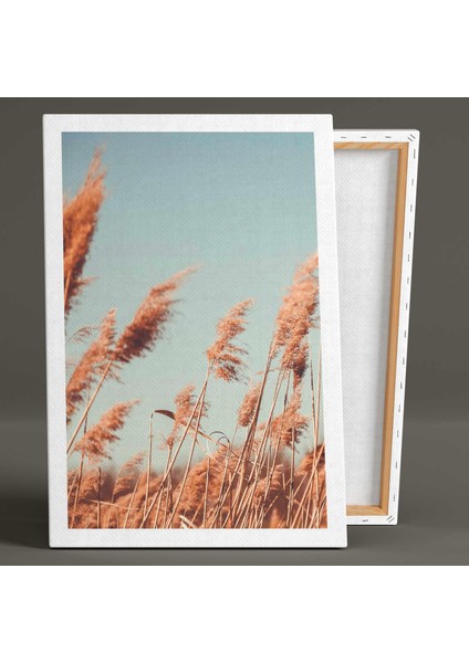 Pampas Tarlası Natural Romantik Kurumuş Bitki Kanvas Tablo