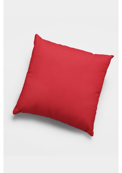 Çift Taraflı 4'lü Kırlent Kılıfı 43X43 Cm Gizli Fermuar Dokuma Premium Tay Tüyü Kumaş 4KR041 fiyatları