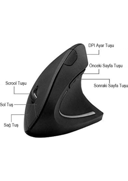Kablosuz Dikey Ergonomik Optik Mouse 1600DPI 6 Tuşlu Vertical Siyah Mouse modelleri