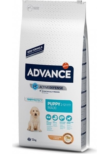 Dog Puppy Protect Maxı 12 kg