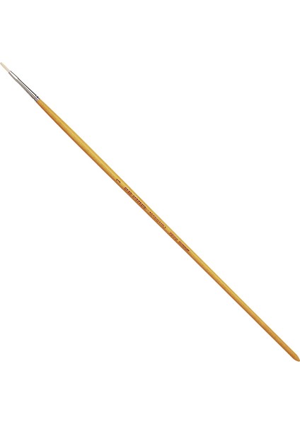 : Maestro Domuz Kılı Düz Uzun Akrilik & Yağlı Boya Fırçası : Seri 7000 : No:1