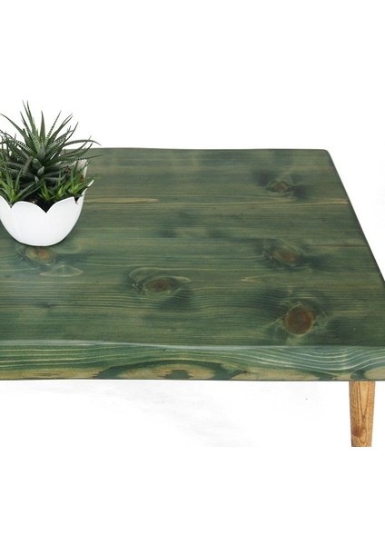 Doğal Ağaç Masif Kütük Orta Sehpa (60CM x 90CM) Ağaç Ayak