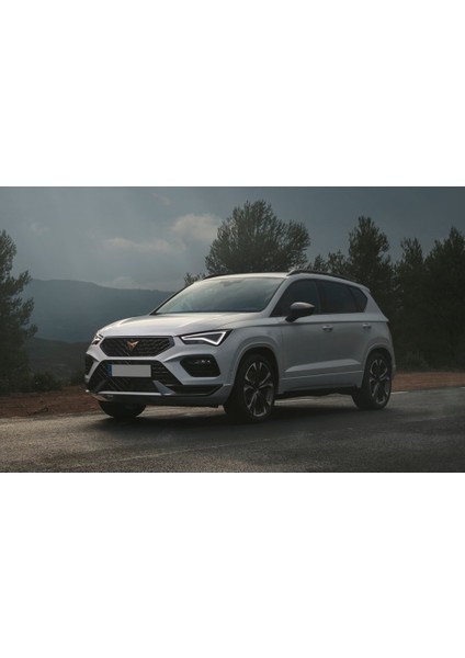 Seat Ateca 2021-2023 Debriyaj Pedalı Lastiği Başlığı Pabucu Kapağı Oem 5Q0721174 fiyatları
