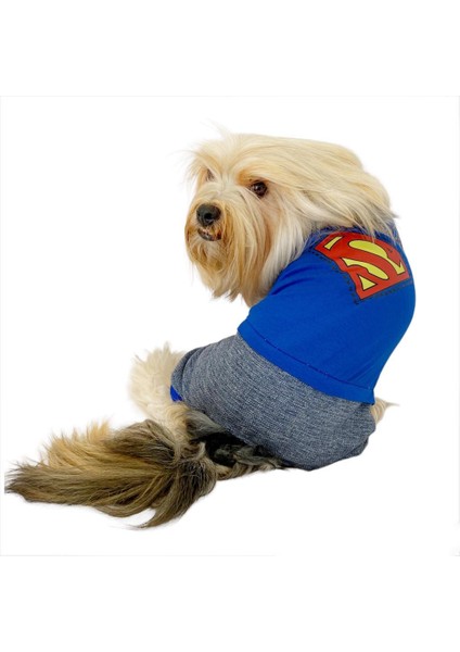 Superman Penye Tulum Köpek Tulumu Köpek Elbisesi