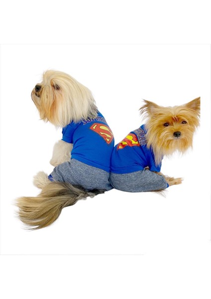 Superman Penye Tulum Köpek Tulumu Köpek Elbisesi
