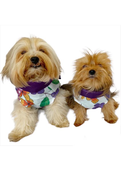 Flower Power Çantalı Su Itici Yağmurluk Köpek Yağmurluğu