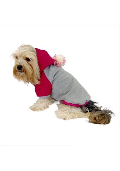 Pink Amigo Kapşonlu Sweatshirt Köpek Kıyafeti Köpek Elbisesi