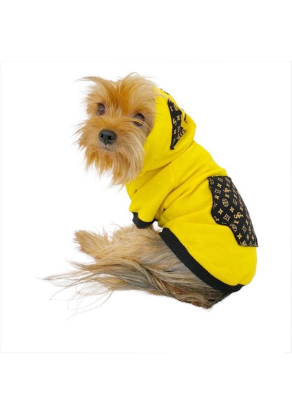 Yellow Lux Kapşonlu Sweatshirt Köpek Kıyafeti Köpek Elbisesi