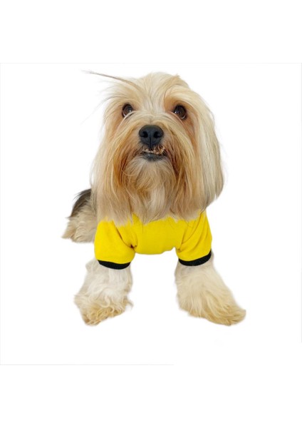 Yellow Lux Kapşonlu Sweatshirt Köpek Kıyafeti Köpek Elbisesi fiyatları