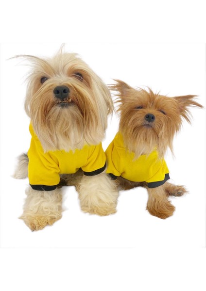 Yellow Lux Kapşonlu Sweatshirt Köpek Kıyafeti Köpek Elbisesi modelleri