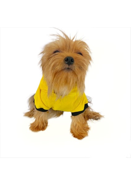 Yellow Lux Kapşonlu Sweatshirt Köpek Kıyafeti Köpek Elbisesi indirimleri