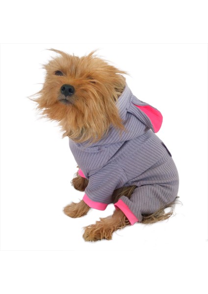 Sweet Bunny Kulaklı Köpek Tulumu Kıyafeti