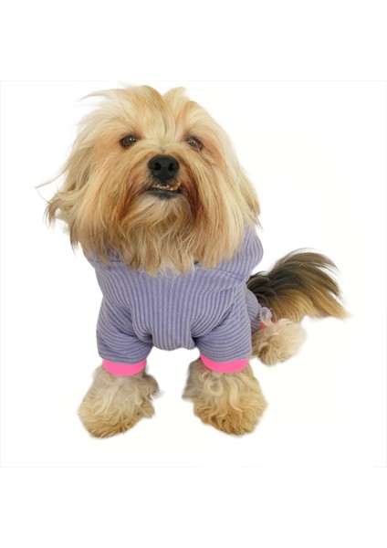 Sweet Bunny Kulaklı Köpek Tulumu Kıyafeti fiyatları