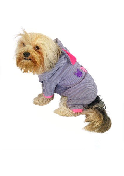 Sweet Bunny Kulaklı Köpek Tulumu Kıyafeti modelleri