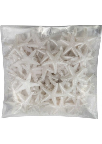 Deniz Yıldızı Minik Sedef PK:100 KL:100 fiyatları