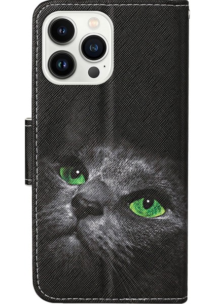 Iphone 14 Pro Max 3D Renkli Çizim Flip Deri Telefon Kılıfı (Kara Kedi) modelleri