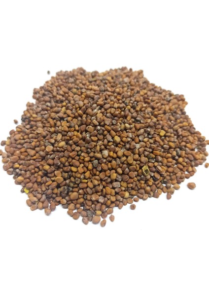 Turp Tohumu Kırmızı 250 gr fiyatları