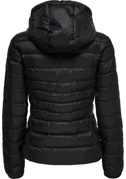 15156569 Onltahoe Hood Jacket Otw Noos fırsatları