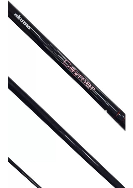 Ceymar Surf 4,30 M 100-250 gr 3 Parça Surf Kamışı fiyatları