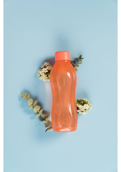 Eco Şişe Suluk Su Mavisi ve Turuncu 2'li 500 ml