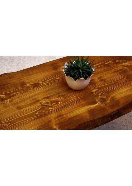 Doğal Ağaç Masif Kütük Orta Sehpa 60 x 110 cm Metal Ayak