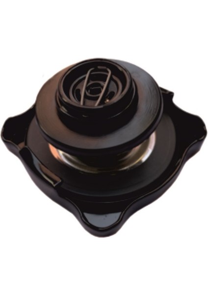 Tofaş Doğan Slx Radyatör Kapağı 4256228 fiyatları