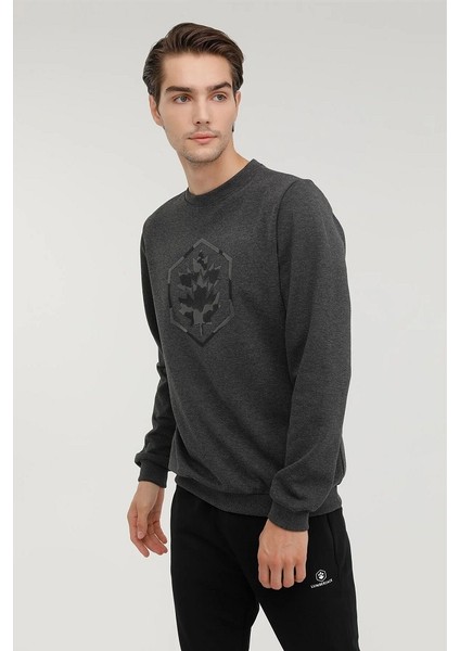 M - SD4001 Aron Erkek Sweatshirt