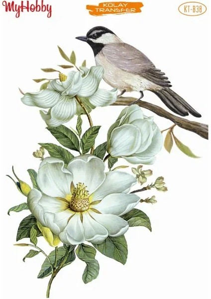 Kolay Transfer KT-B38 25X35 cm