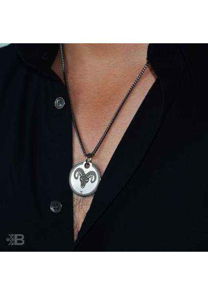 Koç Burcu Yuvarlak Çelik Kolye fiyatları