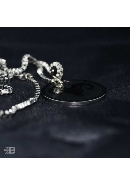 Koç Burcu Yuvarlak Çelik Kolye modelleri