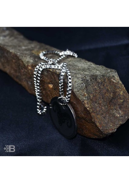 Koç Burcu Yuvarlak Çelik Kolye fırsatları